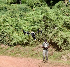 Drone