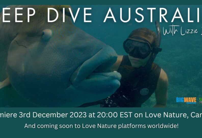 Deep Dive Australia with Lizzie Daly