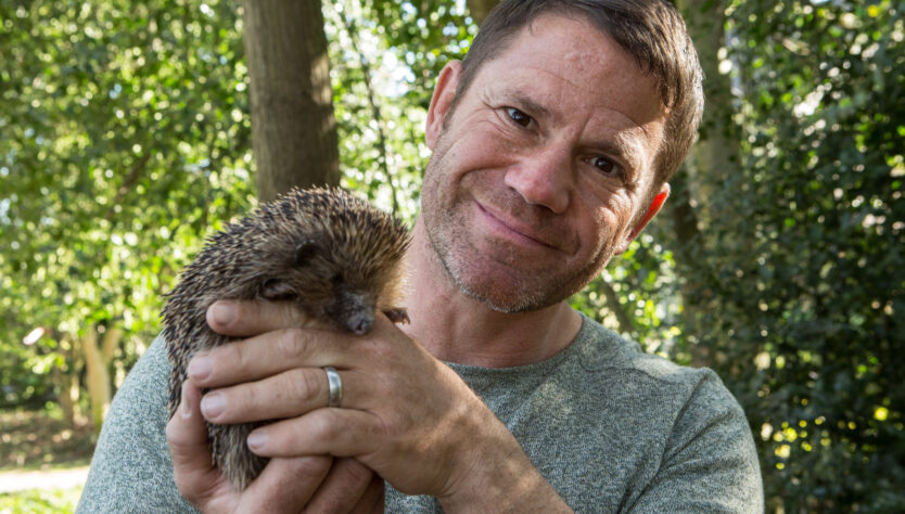 Hedgehog