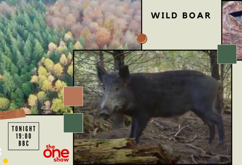 Dan O’Neill on BBC’s The One Show