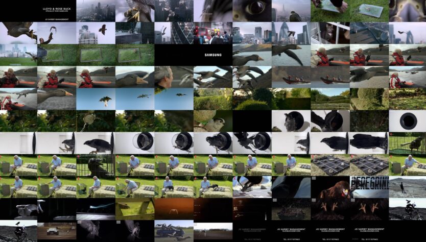 multipic