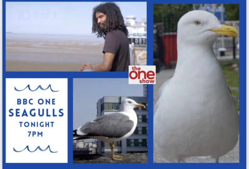 Love or loathe them?