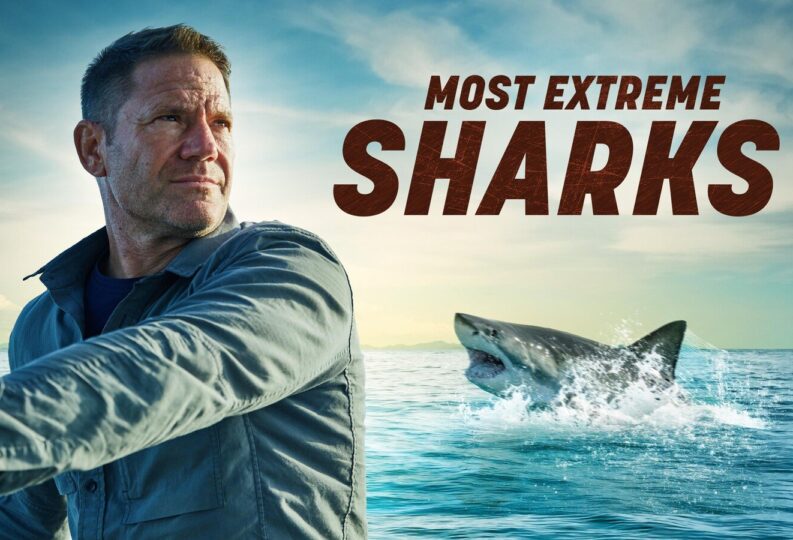 ‘Most Extreme Sharks’ on National Geographic
